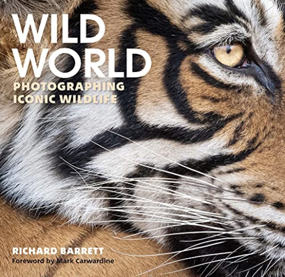 Wild World
