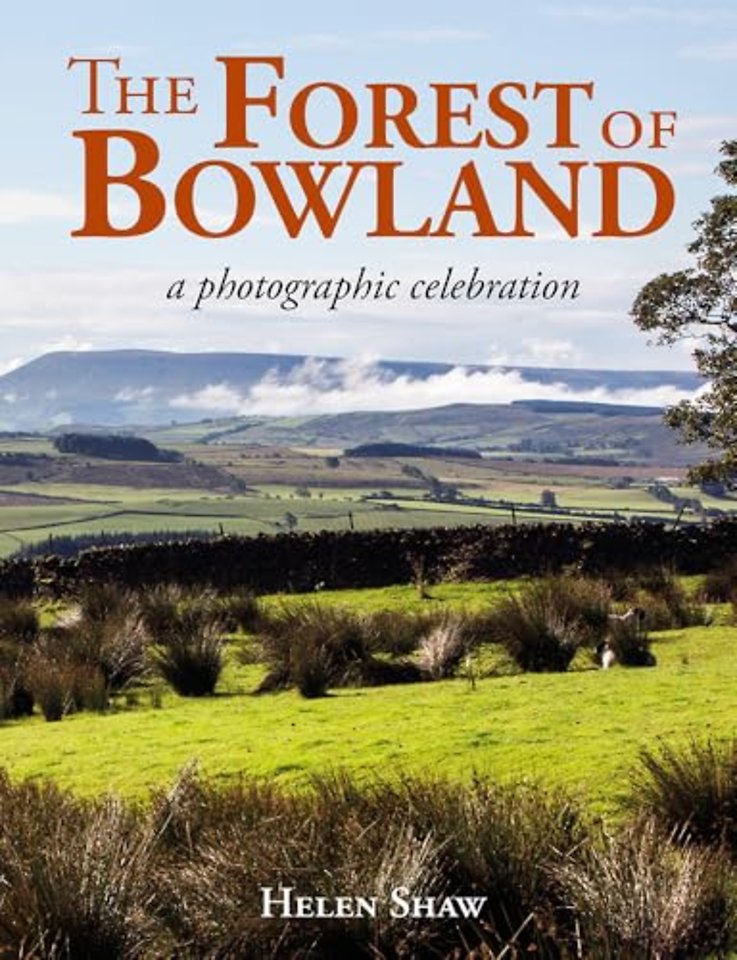 The Forest of Bowland
