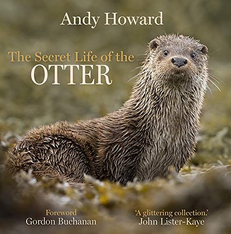 The Secret Life of the Otter