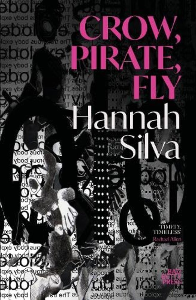Crow, Pirate, Fly