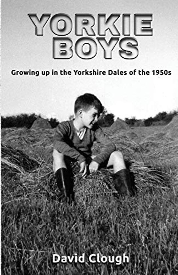 Yorkie Boys