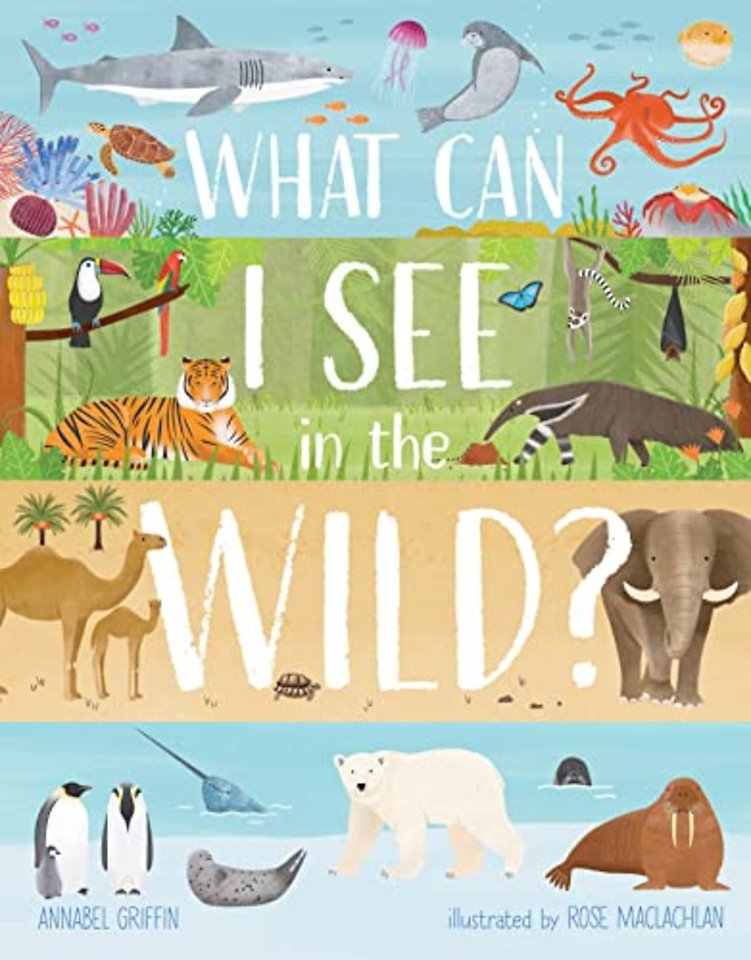 What Can I See in the Wild
