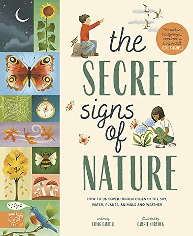 The Secret Signs of Nature