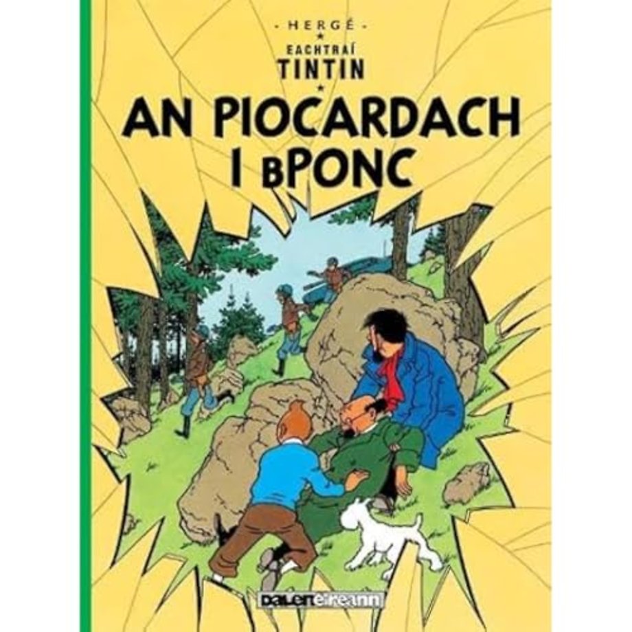 An Piocardach i Bponc