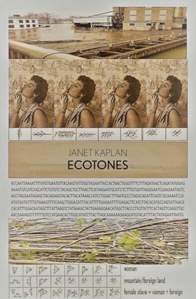 Ecotones