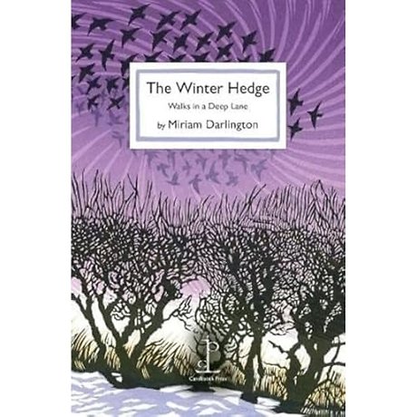 The Winter Hedge