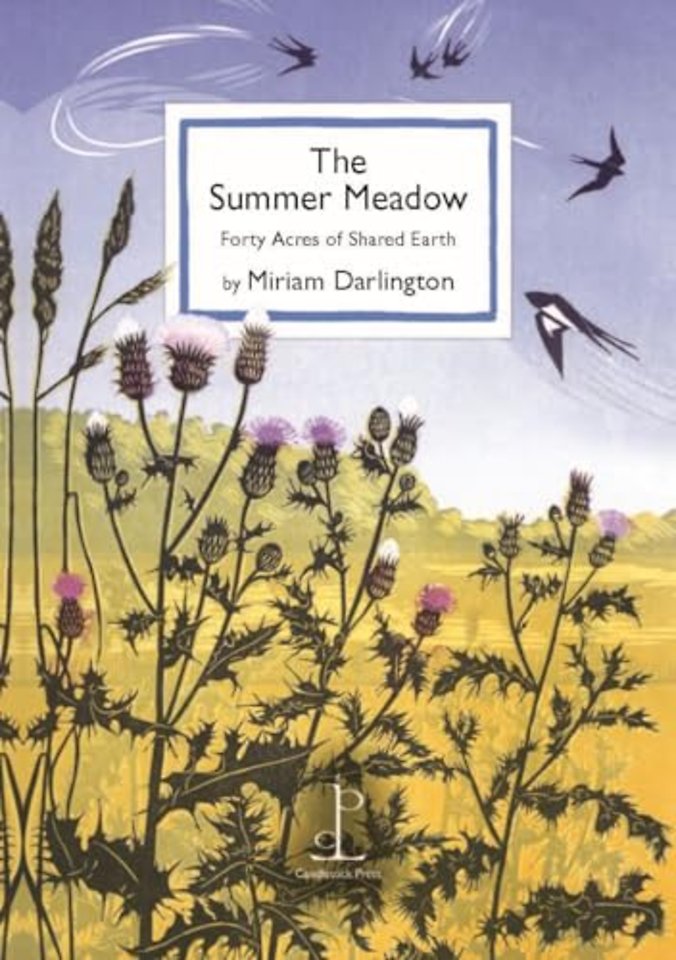 The Summer Meadow