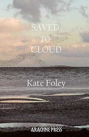 Saved to Cloud