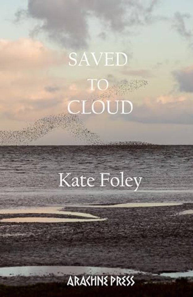 Saved to Cloud