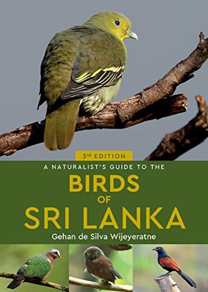 A Naturalist's Guide to the Birds of Sri Lanka (3rd edition)