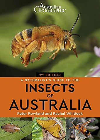 A Naturalist's Guide to the Insects of Australia