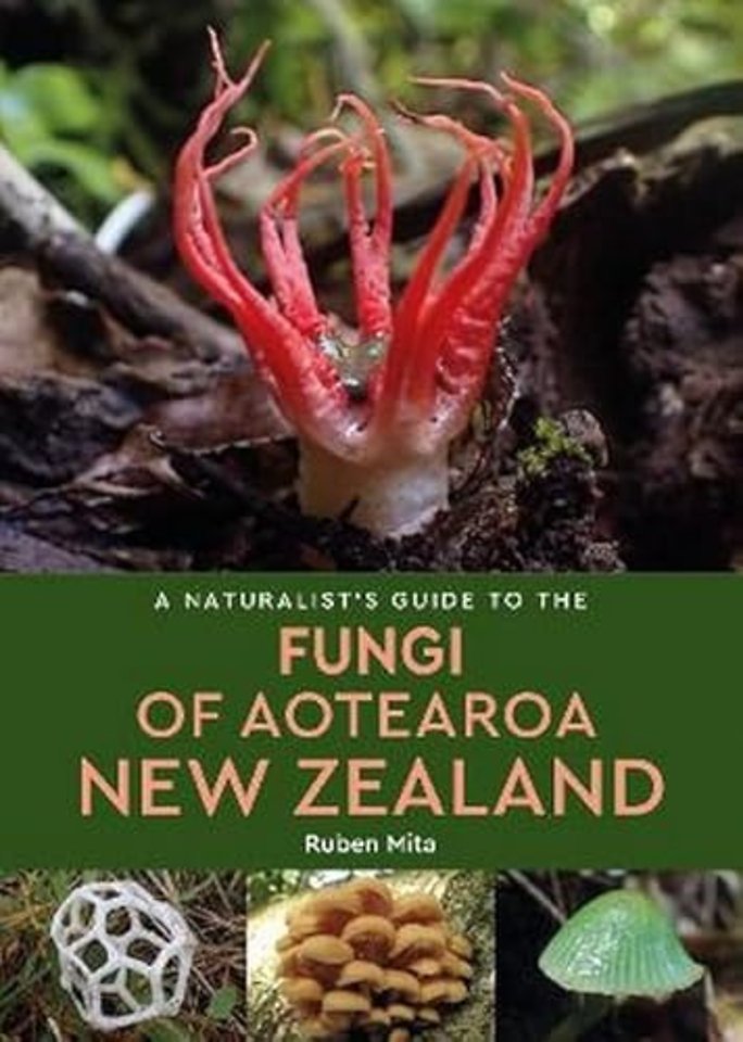 A Naturalist's Guide to the Fungi of Aotearoa New Zealand