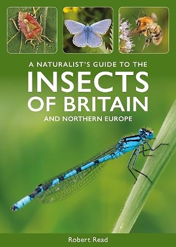 A Naturalist's Guide to the Insects of Britain and Northern Europe
