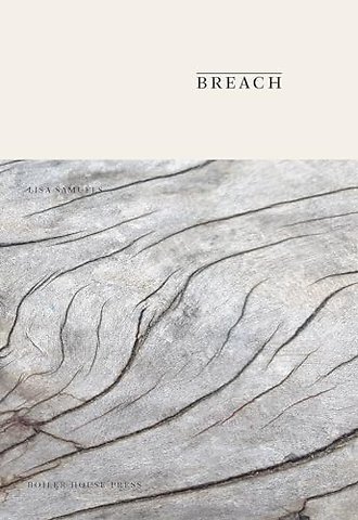Breach