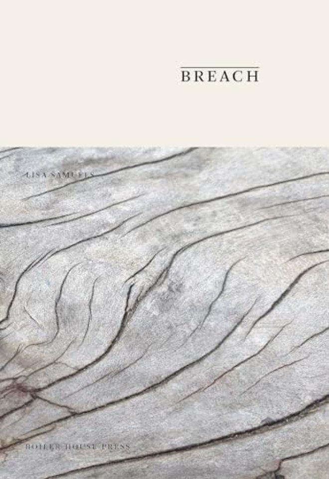 Breach