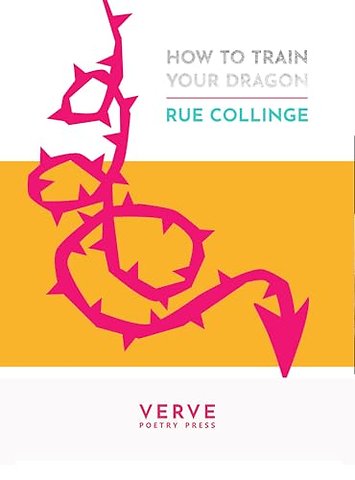 How to Train Your Dragon