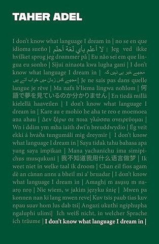 I don't know what language I dream in