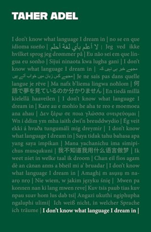 I don't know what language I dream in