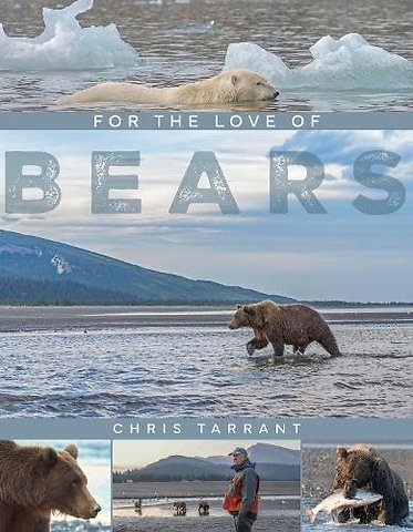 For The Love Of Bears
