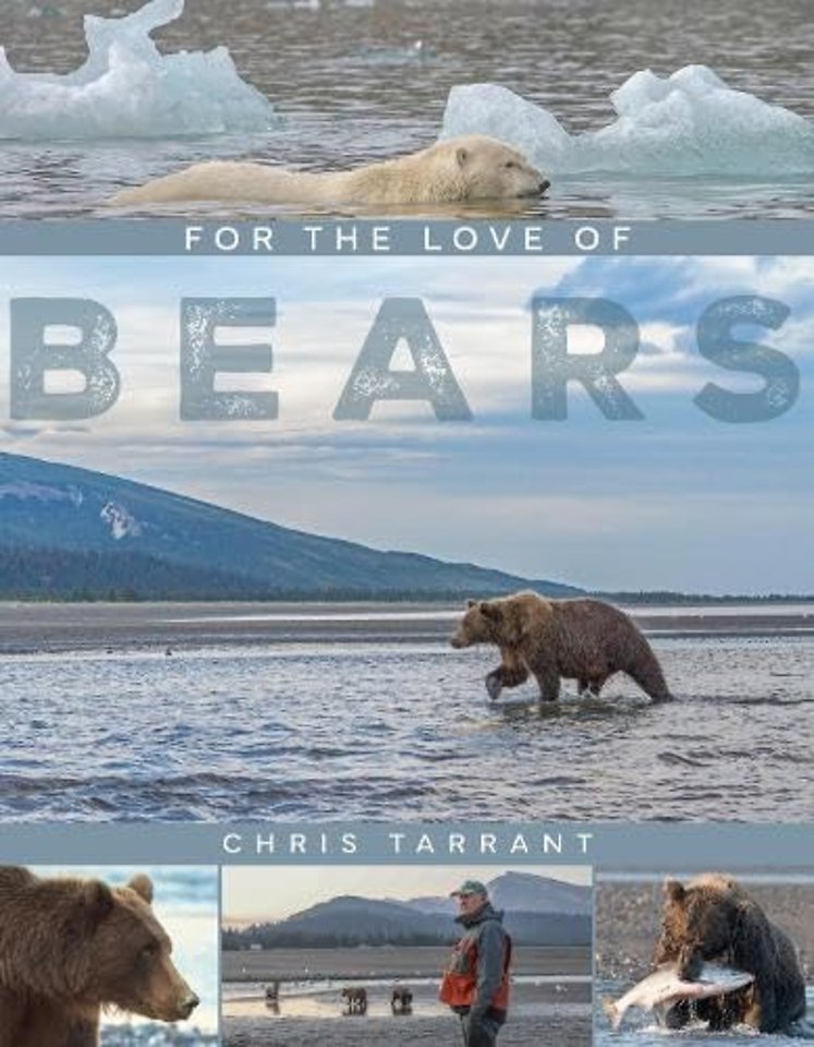 For The Love Of Bears