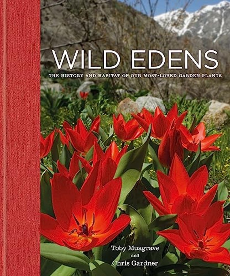 Wild Edens