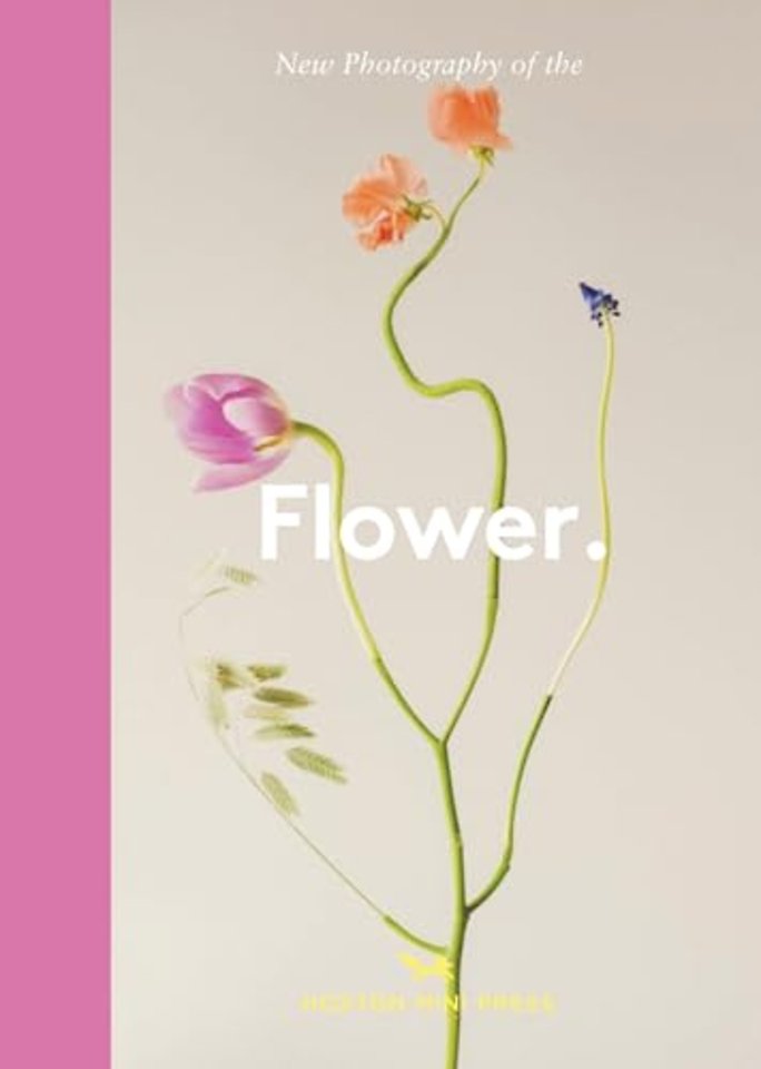 Flower.
