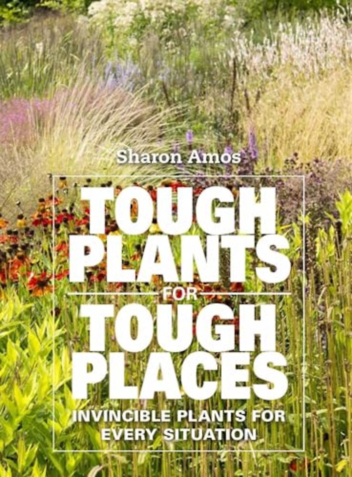 Tough Plants for Tough Places