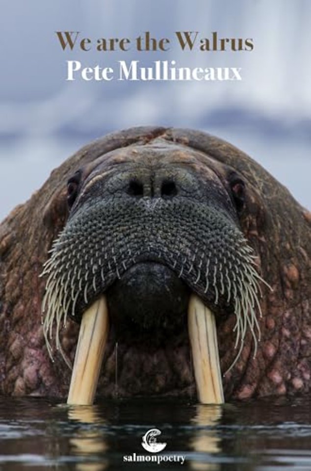 We Are The Walrus