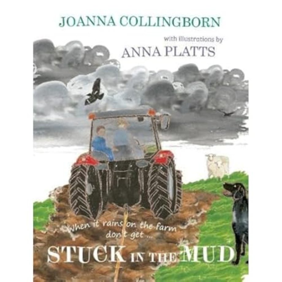 Stuck in the Mud