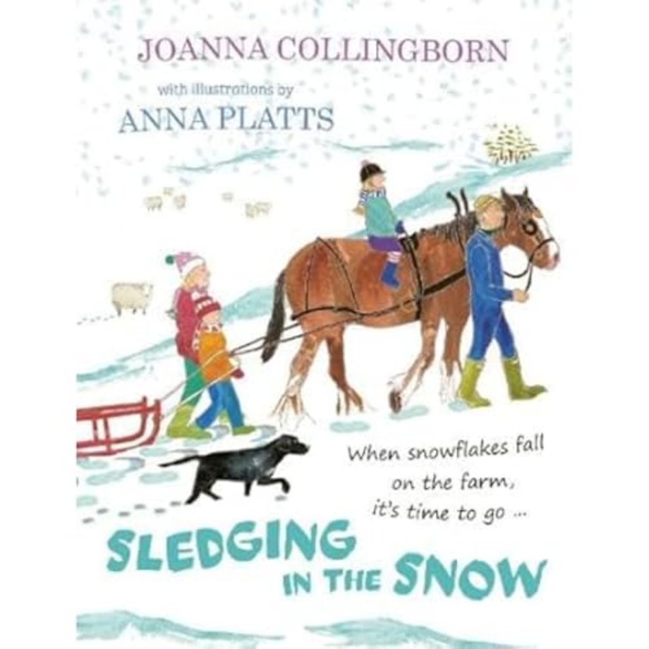 Sledging in the Snow