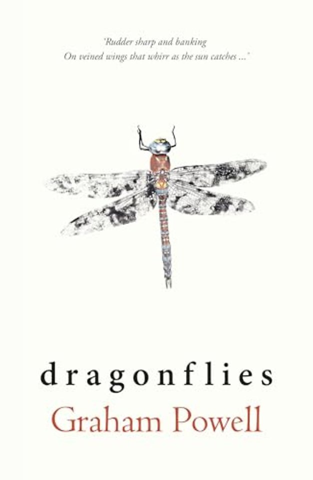 Dragonflies