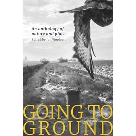 Going to Ground