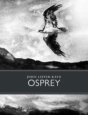Osprey