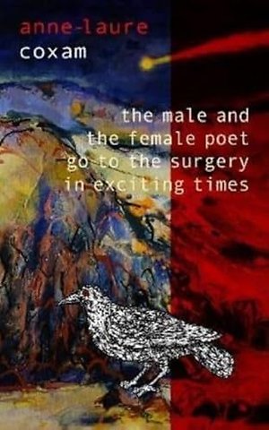 The Male and the Female Poet Go to the Surgery in Exciting Times