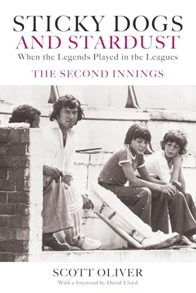 Sticky Dogs and Stardust Volume 2