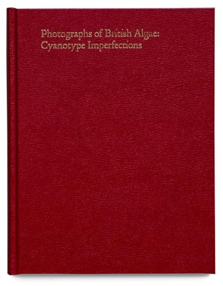 Cyanotype Imperfections