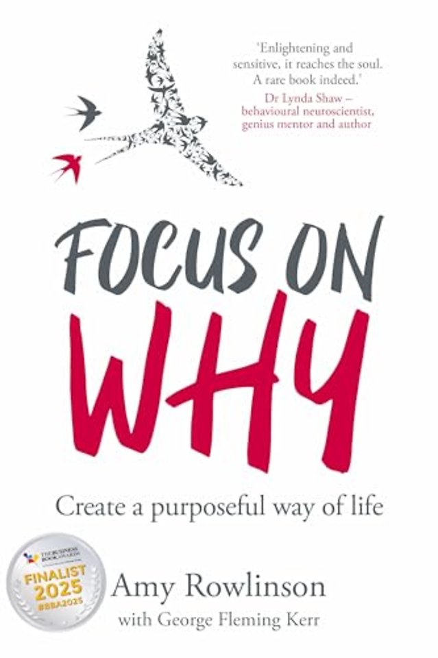 Focus on Why