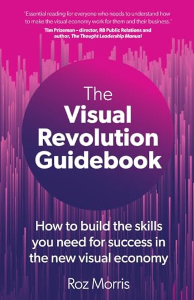 The Visual Revolution Guidebook