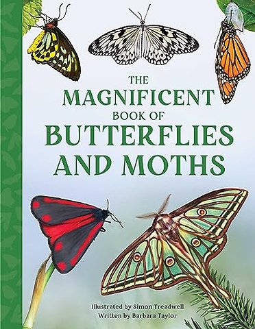 The Magnificent Book of Butterflies and Moths