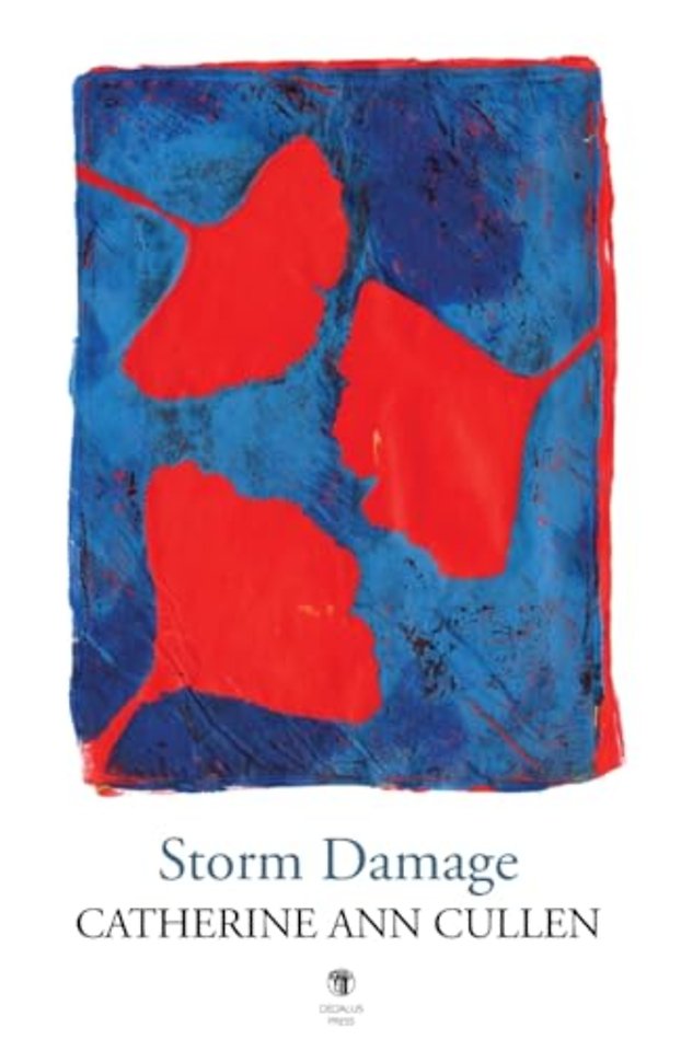 Storm Damage