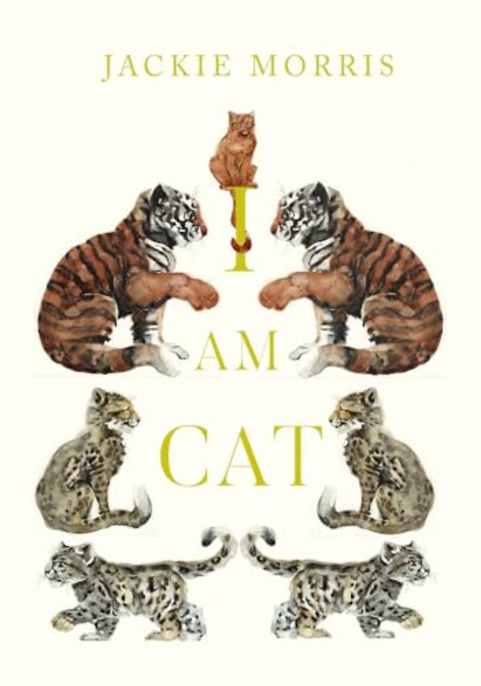 I am Cat