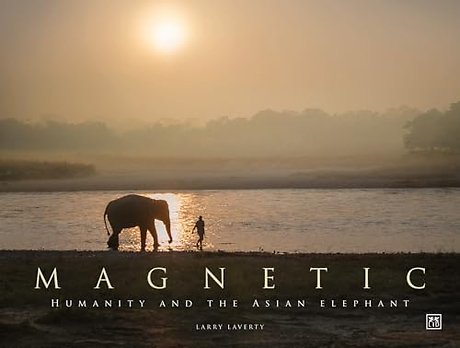Magnetic