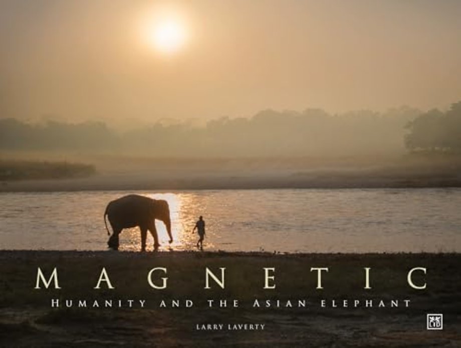 Magnetic