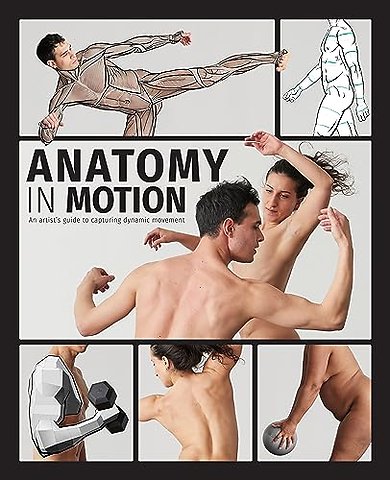 Anatomy in Motion