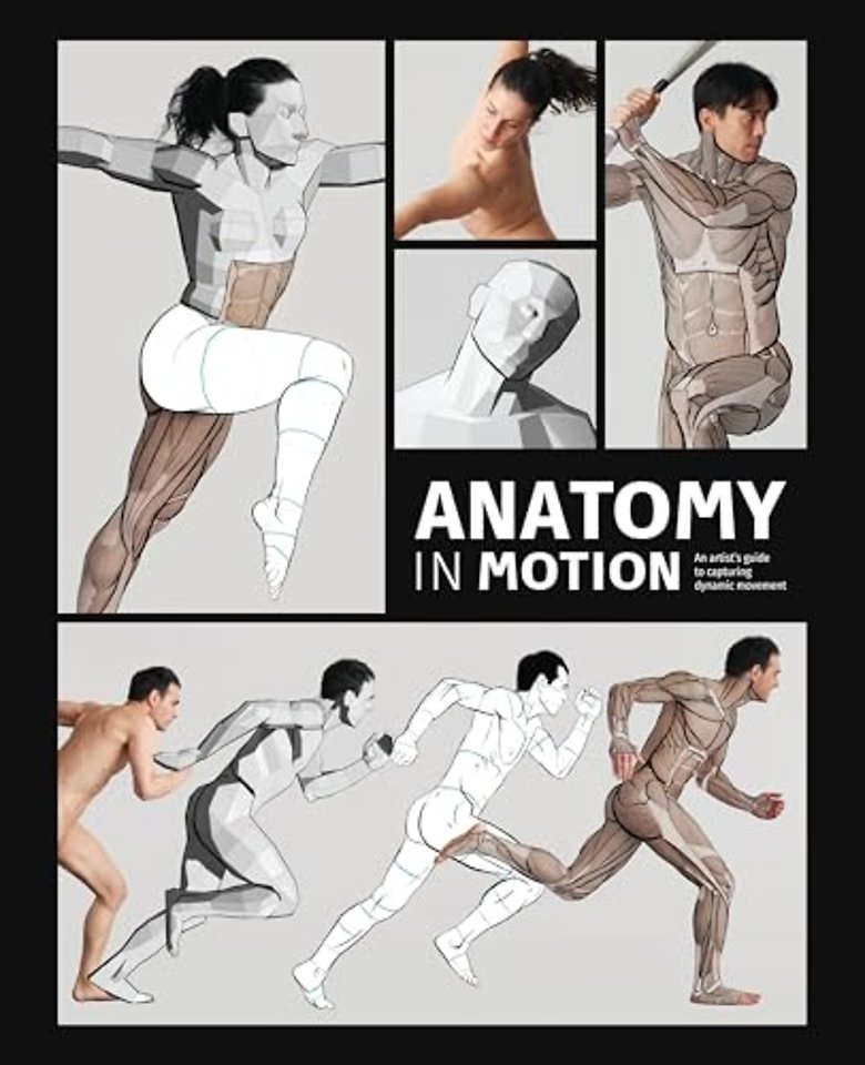 Anatomy in Motion