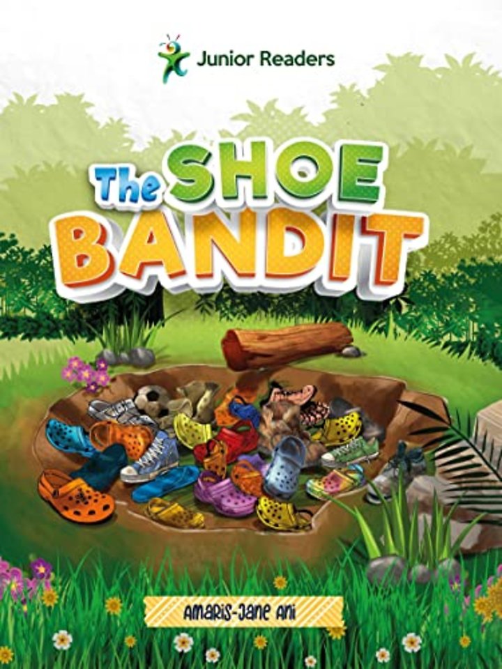 The Shoe Bandit
