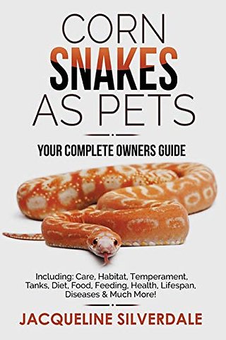 Corn Snakes as Pets - Your Complete Owners Guide