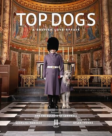 Top Dogs