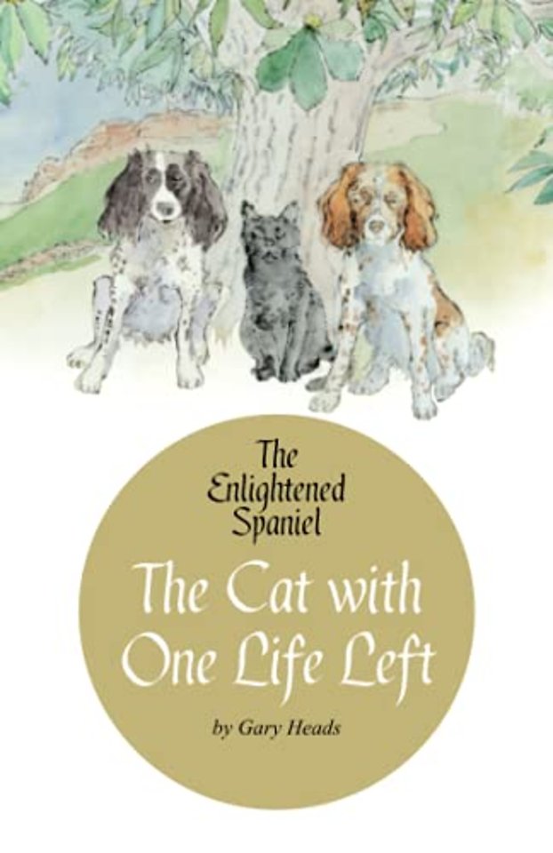 The Enlightened Spaniel
