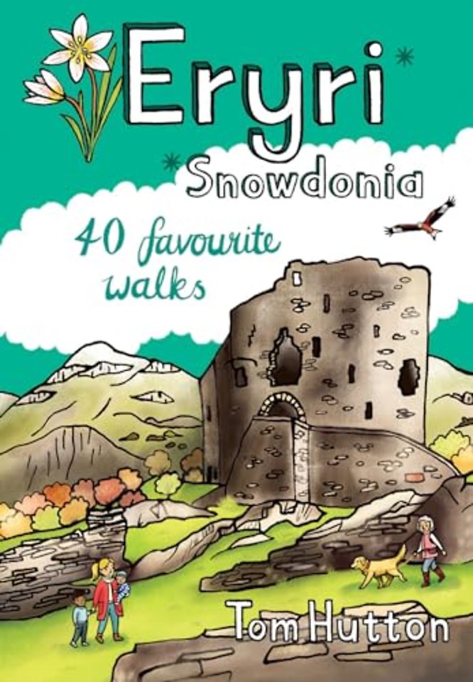 Eryri / Snowdonia Pocket Mountains